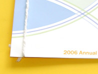 WASItravel Annual Report: Click to enlarge.