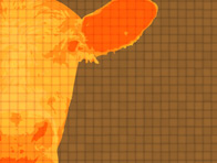 Meat Poster: Click to enlarge.